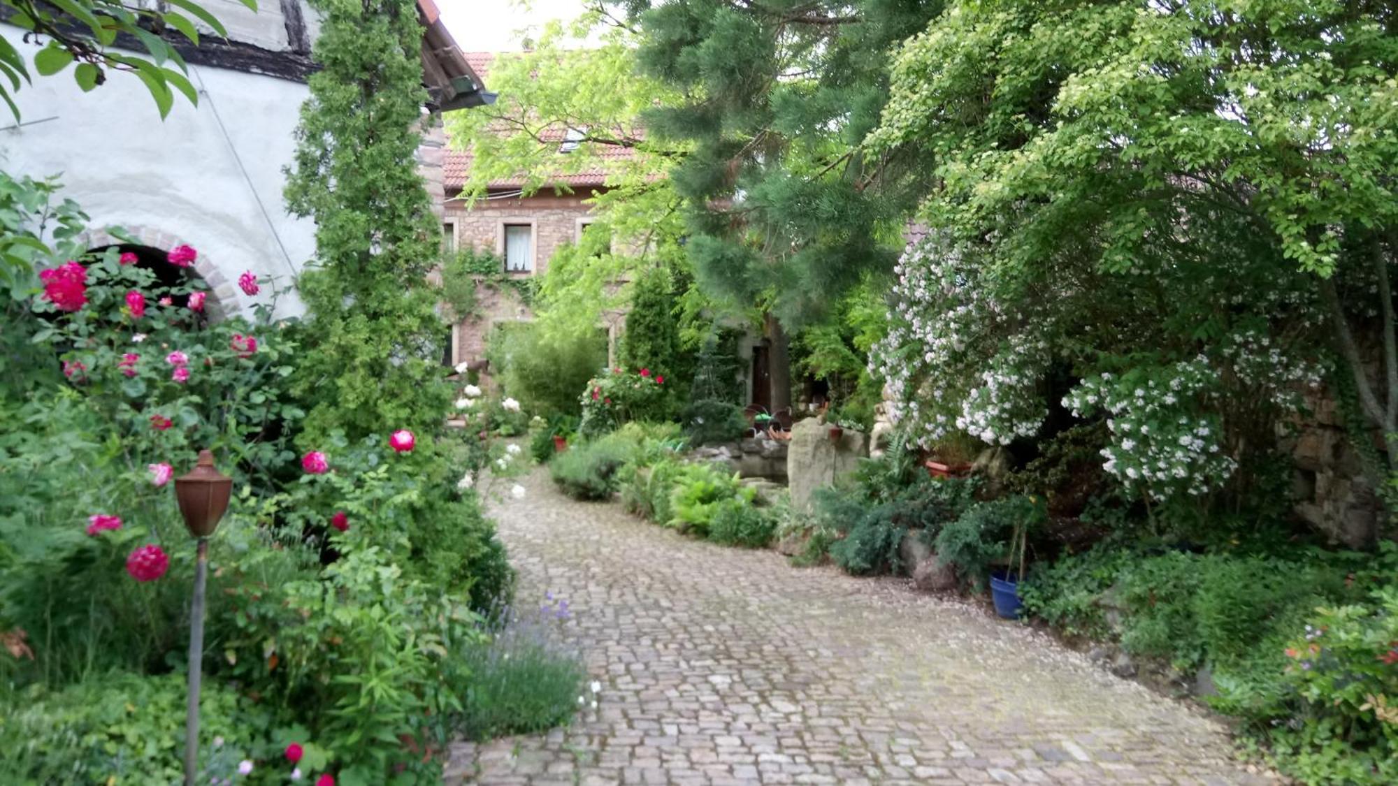 단넨펠스 "El Patio" Am Donnersberg 아파트 외부 사진