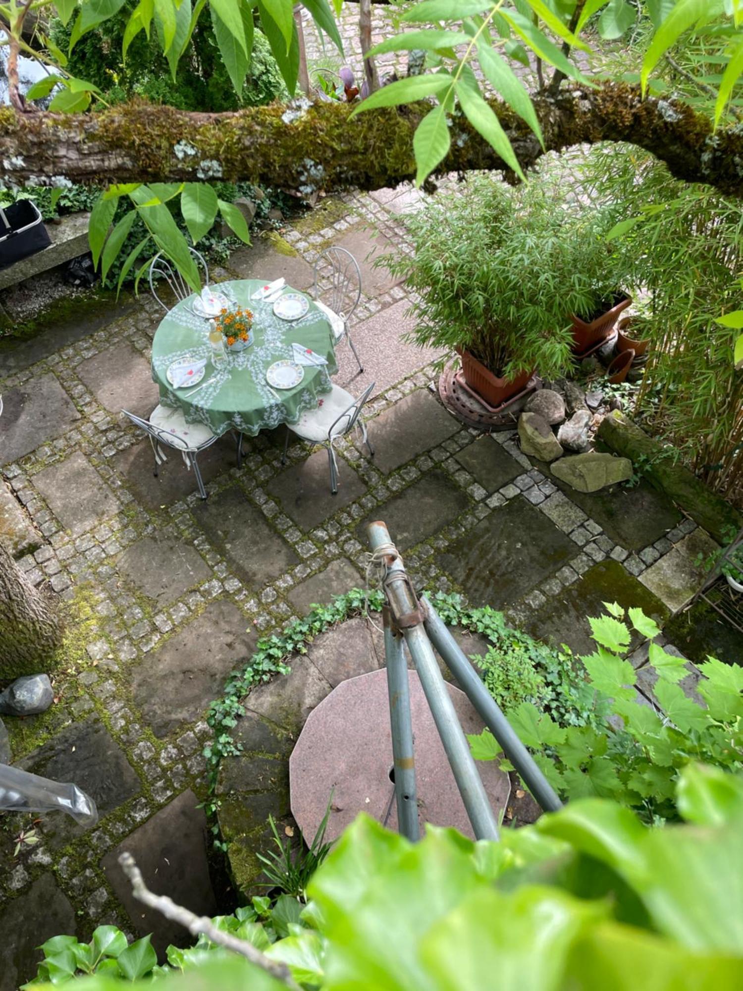 단넨펠스 "El Patio" Am Donnersberg 아파트 외부 사진