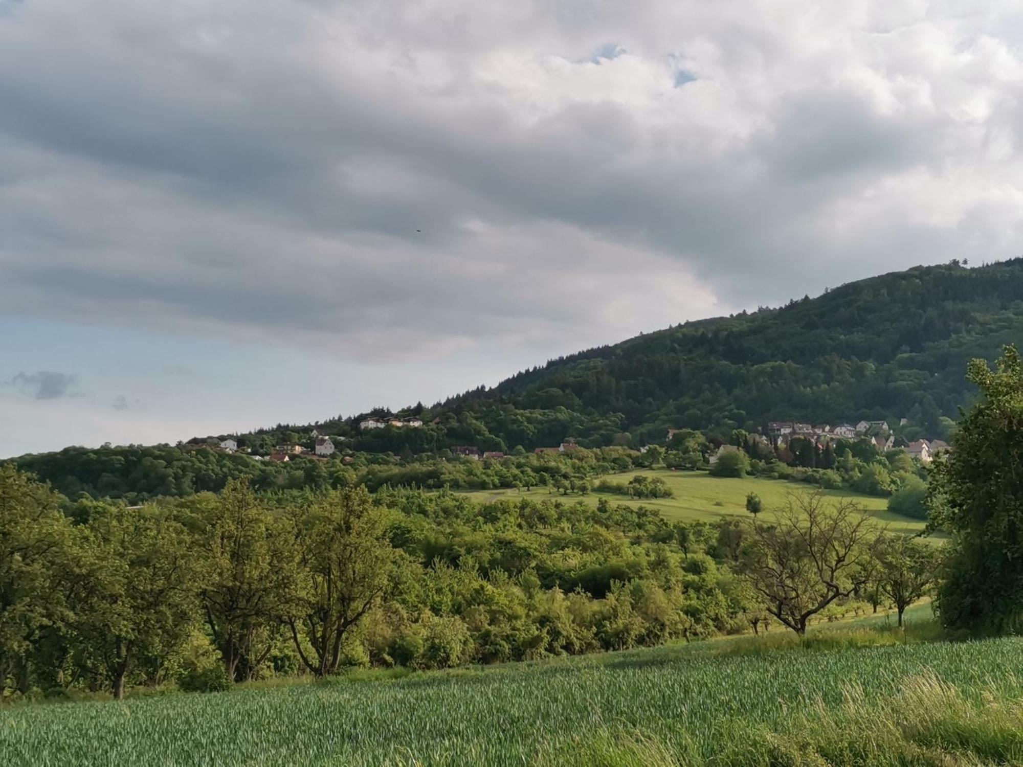 단넨펠스 "El Patio" Am Donnersberg 아파트 외부 사진