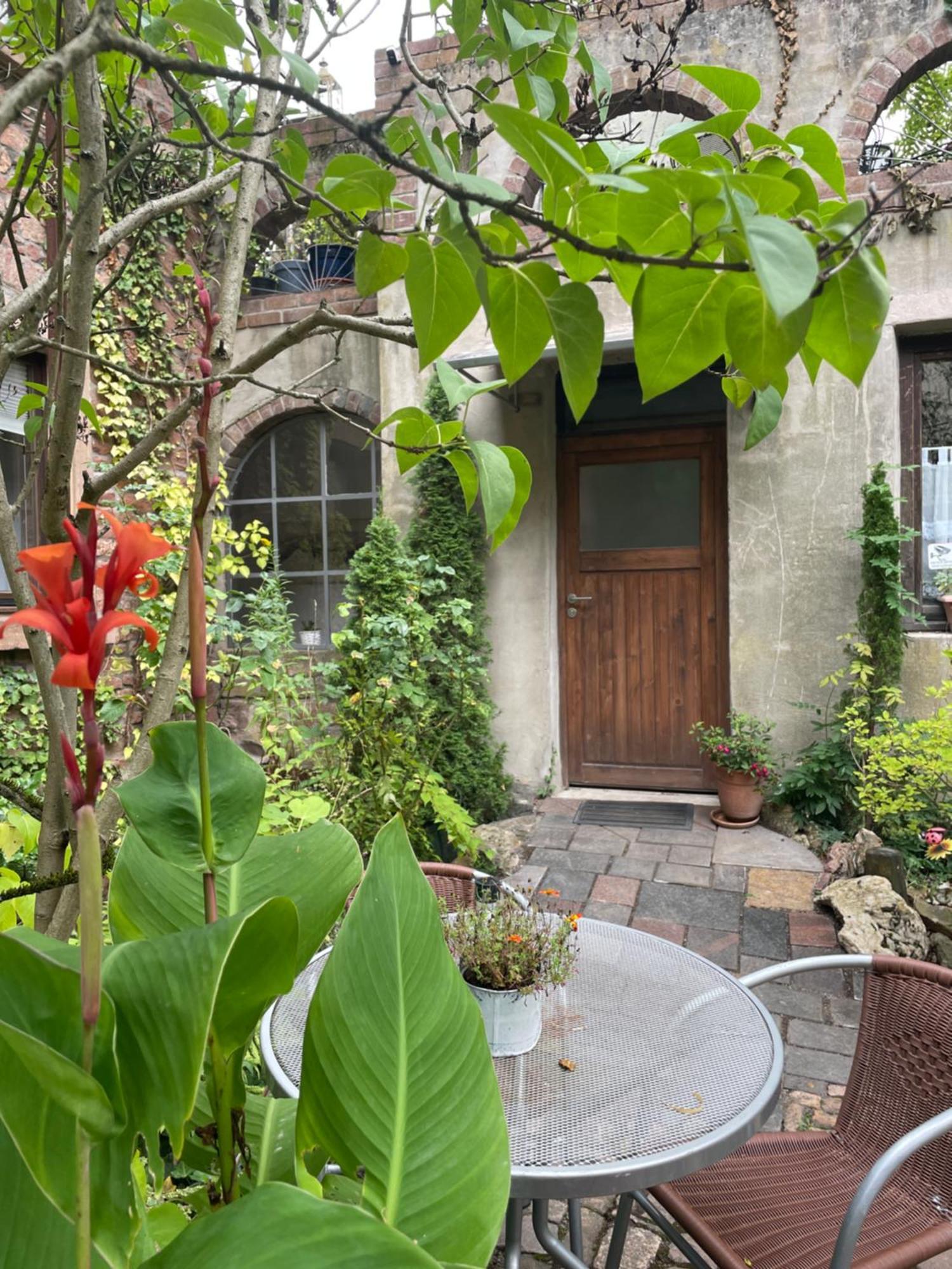 단넨펠스 "El Patio" Am Donnersberg 아파트 외부 사진